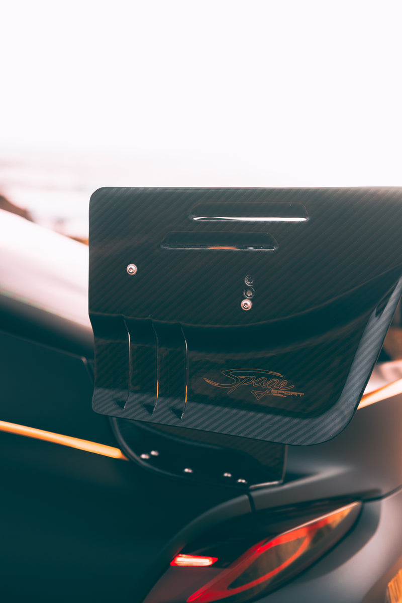 V1 Rear Wing Endplates